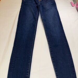 American Eagle Outfitters Navy Skinny Jeans